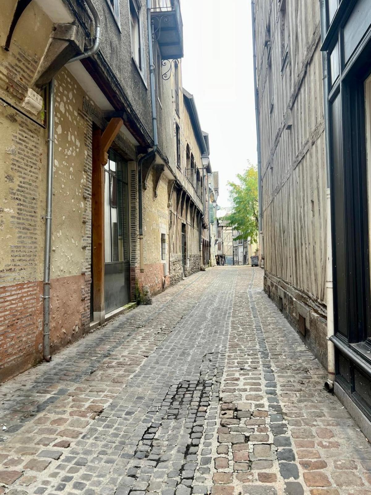 Hyper Centre Le Cozy Colbert Apartamento Troyes Exterior foto